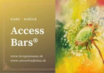 newevent/2020/02/Access Bars® (3).jpg